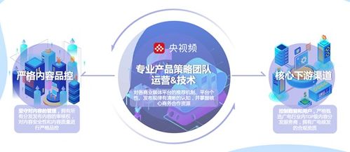 中央廣播電視總臺 版權運營與媒資開發，打造全終端產品渠道，拓展全維度產品價值