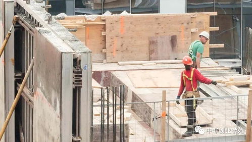 中國“三建客” 重塑非洲基礎(chǔ)設(shè)施建設(shè)的新引擎